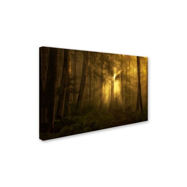 Norbert Maier 'Yellow The Bigger Picture' Canvas Art,22x32